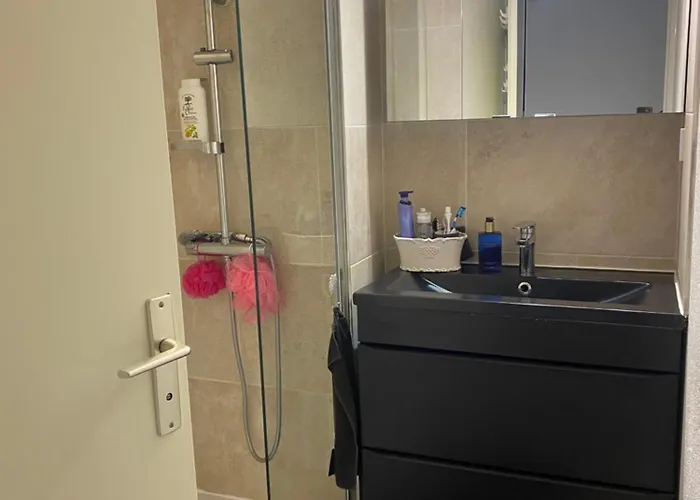 Apartment Carqueiranne *